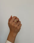 Palki Guard Rings